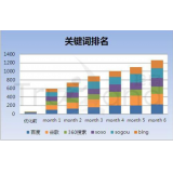 成武如何防止SEO关键词排名下降