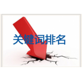 成武网站关键词排名下降原因有哪些