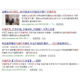 成武朱安安：SEO外链代发行业大揭密
